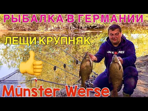 Видео: ЛЕЩИ КРУПНЯК - РЫБАЛКА В ГЕРМАНИИ