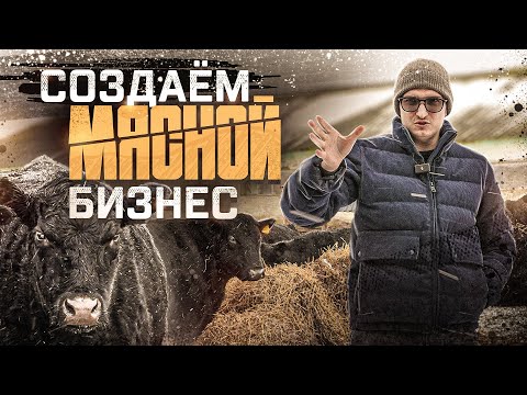 Видео: 1 серия | Black Angus! Берем ГРАНТ на Бизнес по бычкам с НУЛЯ. Расширяемся в 2 раза?