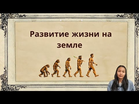 Видео: Как развивалась жизнь на земле ? от бактерий до человека 🌱
