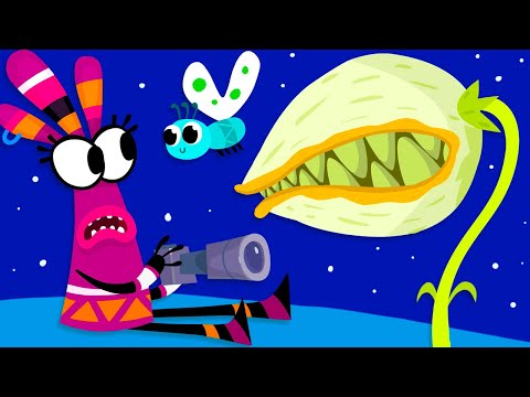 Видео: Куми-Куми в 4k, "Куми-Микс" 12 серия