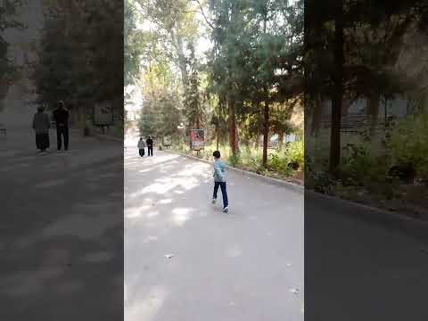 Видео: Баҳористон 1ноябри 2025