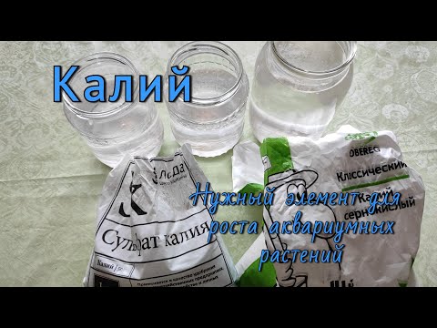 Видео: Калий.