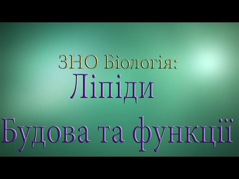 Видео: ЗНО Біологія  Ліпіди