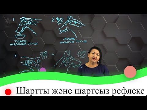 Видео: Шартты және шартсыз рефлекс. 7 сынып.