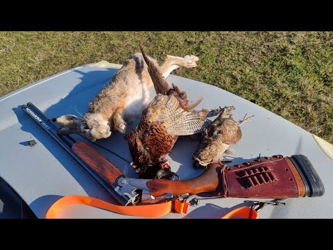 Видео: КАК ПРАВИЛЬНО (УХАЖИВАТЬ) ЧИСТИТЬ РУЖЬЕ ДЛЯ ОХОТЫ / ОХОТРАДИО