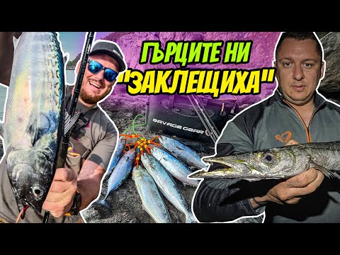 Видео: УДАРИ МЕ ТОК ПРЕЗ ВЪДИЦАТА!! 24 ЧАСА МОРСКИ РИБОЛОВ НА БАРАКУДА, ДОРАДО И ТУНАКИ