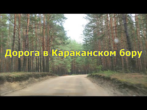 Видео: Дорога через Караканский бор. Влог 3