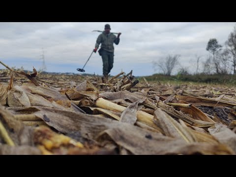 Видео: НАХОДОК ХВАТИЛО НА ВСЕХ! ПОИСК С МЕТАЛЛОИСКАТЕЛЕМ В КАЛИНИНГРАДСКОЙ ОБЛАСТИ. ПРУССКИЙ КОП