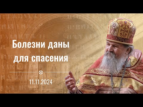 Видео: Болезни даны для спасения. Воскресная проповедь о. Андрея Лемешонка. 11 ноября 2024 г.