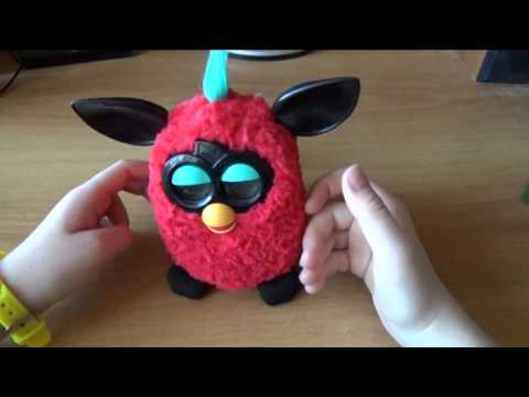 Видео: Мой Ферби