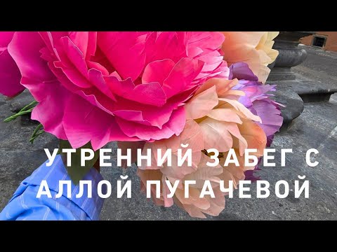 Видео: Утренний забег с Аллой Пугачевой💃☘️💃😇💃‼️♥️