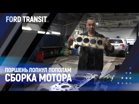 Видео: Поршень лопнул пополам /сборка мотора/ Ford transit