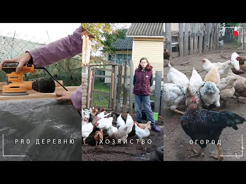 Видео: 👩‍🌾 В деревне: самодельная кровать из дерева. Куры осенью.