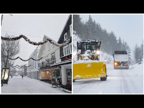 Видео: Норвегия сегодня. Снежный коллапс, искусственные шубы и почтовые ящики.