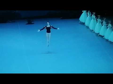 Видео: Жизель 5 ноября 2025