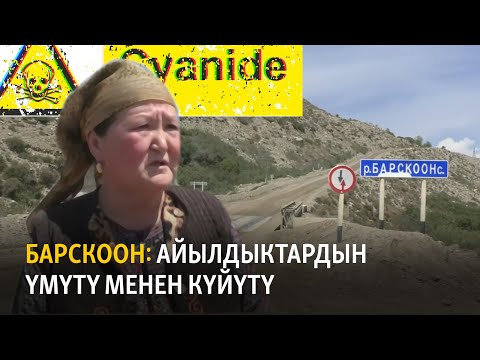 Видео: Барскоон: Айылдыктардын үмүтү менен күйүтү