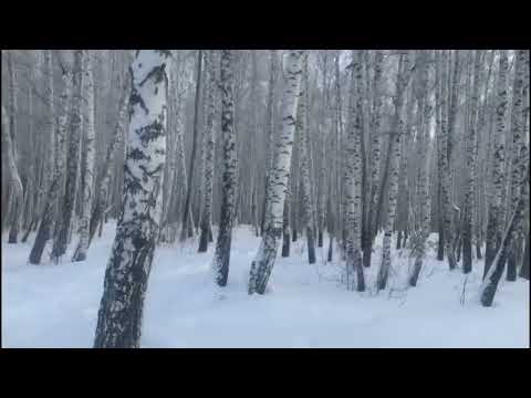 Видео: Унижения и оскорбления в отношениях