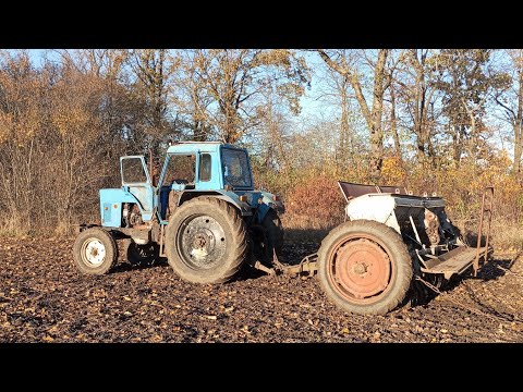 Видео: 31.10.2025 Посів пшениці в болото ❗🛑😭Шо з того вийде 🤷🏻❓