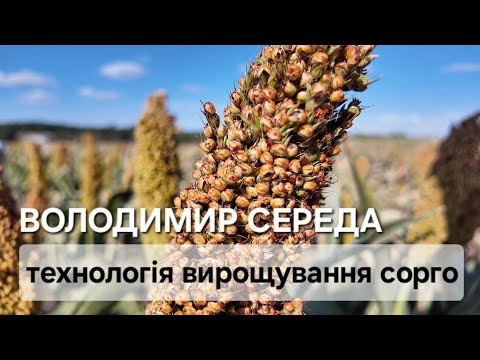 Видео: 6 сентября 2025 г.