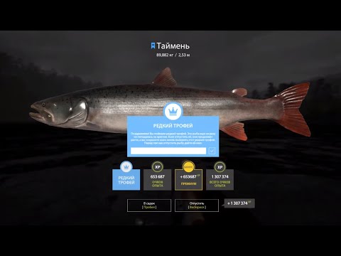 Видео: Русская рыбалка 4. Редкий трофей. Таймень 89882 на реке Нижняя Тунгуска.