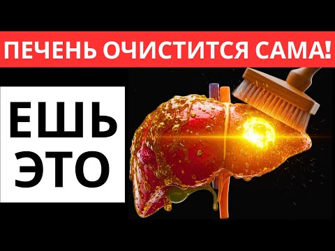 Видео: «СТОП ГЕПАТОЗ! 5 золотых продуктов для печени, которые реально сжигают жир (Наука 2026)»