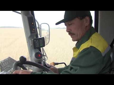 Видео: СКО р-н Г.Мусрепова, село Нежинка 2020 год