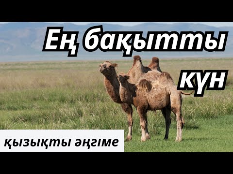Видео: ЕҢ БАҚЫТТЫ КҮН | ӘҢГІМЕ