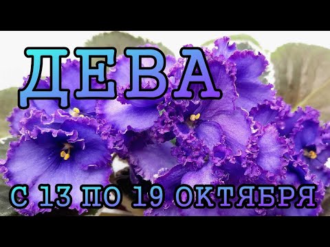 Видео: ДЕВА таро прогноз на неделю с 13 по 19 ОКТЯБРЯ 2025 года