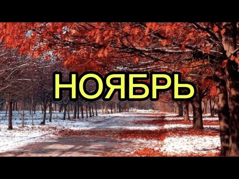Видео: ОТЛИВКА НА НОЯБРЬ 🍁