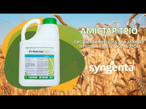 Видео: АМІСТАР ТРІО фунгіцид для зернових культур від "Syngenta" - оригінальне пакування та застосування.