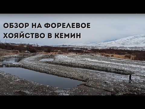 Видео: Обзор.Форелевое хозяйство в Кеминском районе.