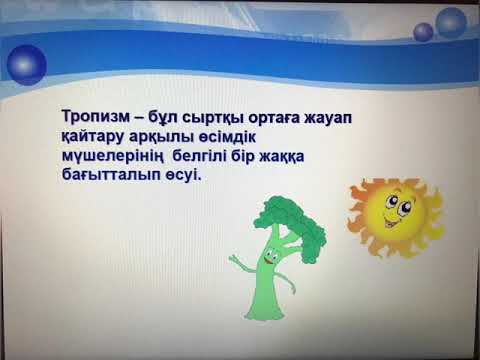 Видео: Өсімдіктердің қозғалысы.Қалдасбекова А