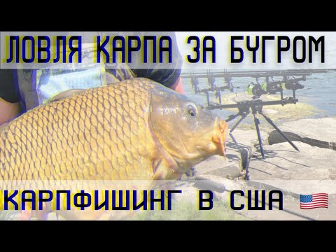 Видео: СУМАСШЕДШИЕ ДУПЛЕТЫ! ОГРОМНЫЕ РЫБЫ! КАРПФИШИНГ В США 🇺🇸