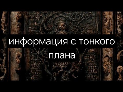 Видео: Информация с тонкого плана