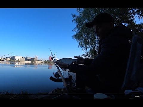 Видео: Фидерная рыбалка на Днепре в Киеве.Утренние Лещики. Ловля разнорыбицы. Рыбалка Киев.