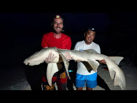 Видео: 19. Мальдивы. Фериду. Крутой снорклинг. Скаты .Черепахи Акулы. Ночная рыбалка поймали большую акулу.