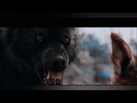 Видео: Ainsi bas la vida (на русском)