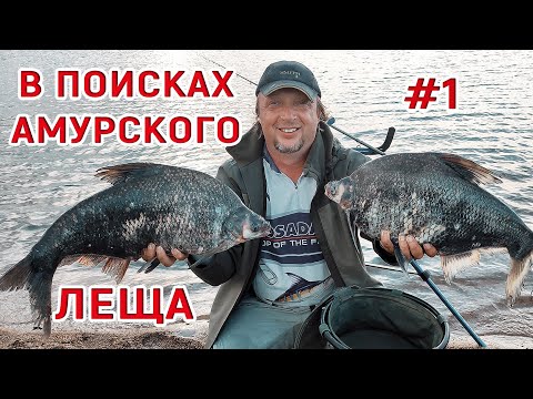 Видео: Рыбалка на фидер. В поисках Амурского леща. Ломаем удилище Нормунда Грабовскиса!