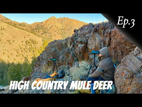 Видео: МЫ ПРЕСЛЕДОВАЛИ ЭТОГО САЛА БОЛЕЕ МИЛИ | ВЫСОКОГОРНЫЙ ОЛЕНЬ-МУЛ | Эпизод 3