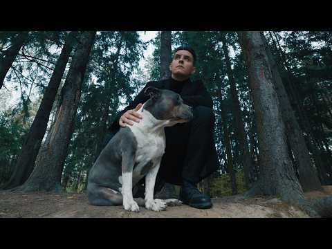 Видео: Хижина Музыканта - Забвение (премьера клипа, 2025)