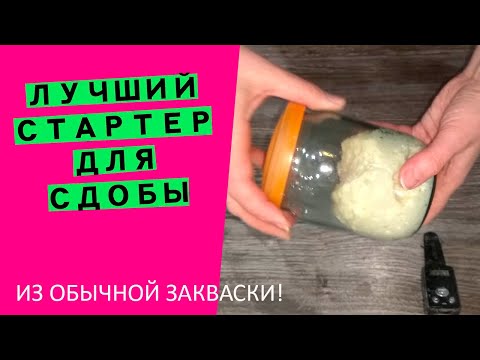 Видео: 💪Сильный стартер для кулича на РАЗ-ДВА-ТРИ! Превращаем хлебную закваску в основу великолепной сдобы!