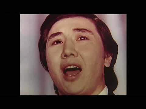 Видео: Шуберт "Ночная серенада".