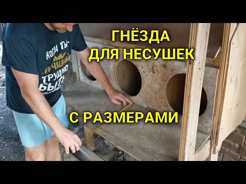 Видео: Гнёзда для несушек на 120 яиц (автономность месяц) с размерами!