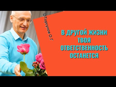 Видео: В другой жизни твоя ответственность останется! Торсунов лекции