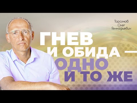 Видео: Обидчивость и гневливость в отношениях (Торсунов О. Г.)