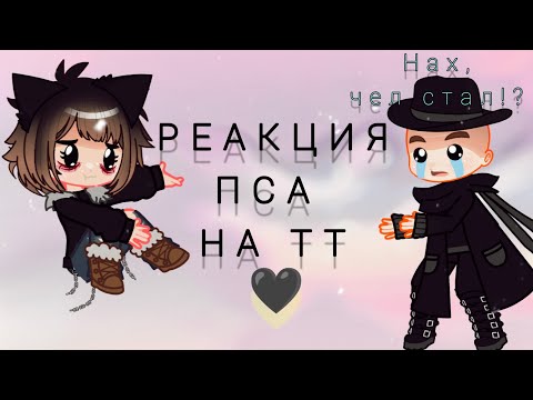 Видео: ♡❀\Реакция пса на тт/❀♡