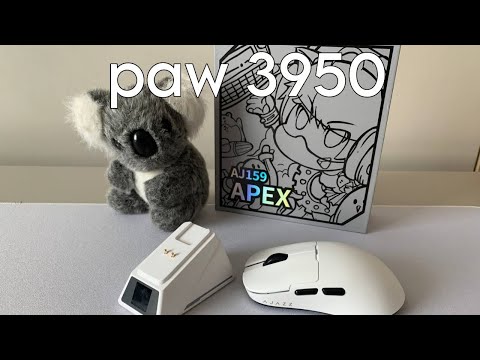 Видео: Мышь на новом сенсоре paw 3950! Обзор мыши ajazz aj159 apex