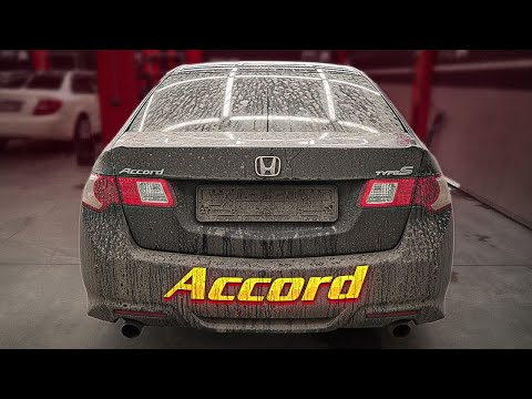 Видео: Возили собак в салоне Honda Accord CL9 #ОТМЫЛИ