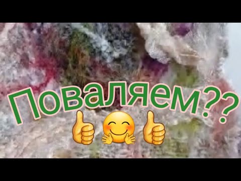 Видео: Крези вул. JANOME FM 725 лучшая помощница.