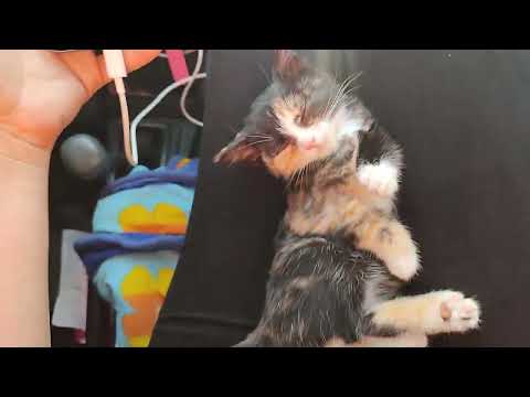 Видео: Ока туринг 2024 г. ч.27